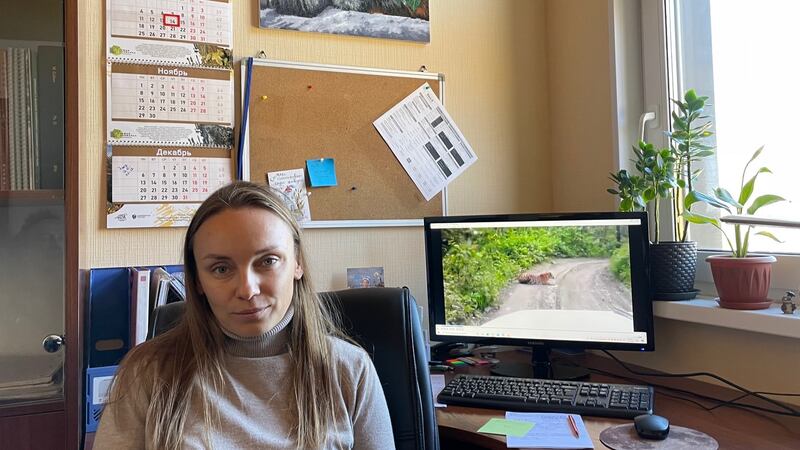 Dina Matyukhina, a senior research scientist at the Land of the Leopard national park in Russia’s Far East. Photograph: Daniel McLaughlin