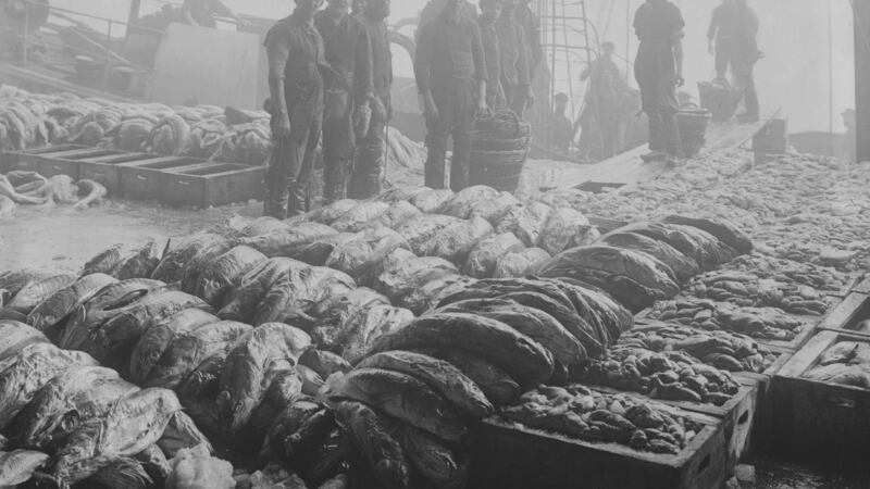 Grimbsy Fish Market: in the move to processing, 95 per cent of fish arrives by vehicle, a far cry from the past captured in a 1907 image. Photograph: Christopher Furlong/Topical Press