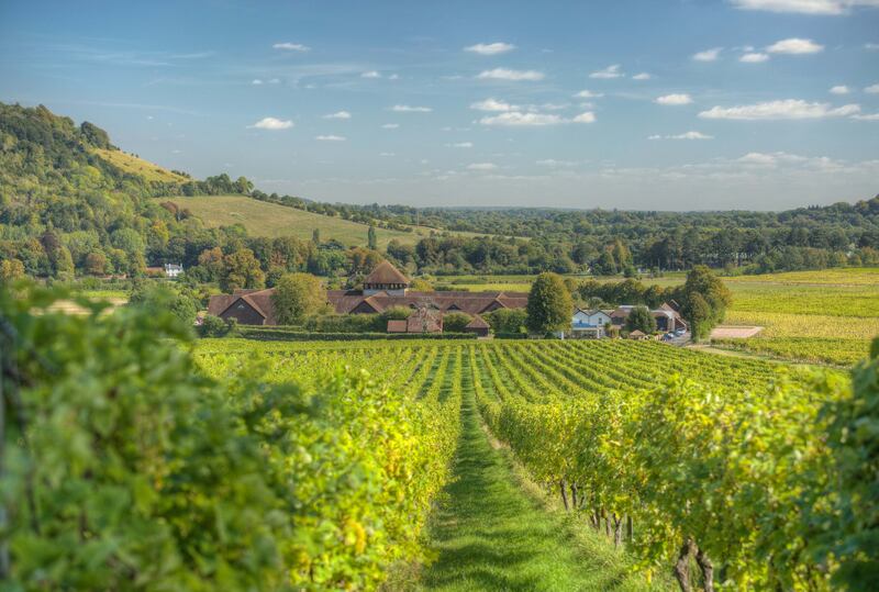 Guests at Denbies in Dorking, Surrey, can enjoy tastings, tours or wander to a local farmers' market.