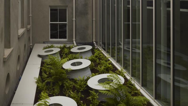 Funnels and ferns in the library’s courtyard