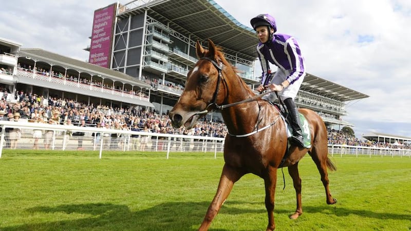 A delighted Joseph O’Brien on Australia after winning The Juddmonte International Stakes at York racecourse in 2014. Photograph:  Alan Crowhurst/Getty Images