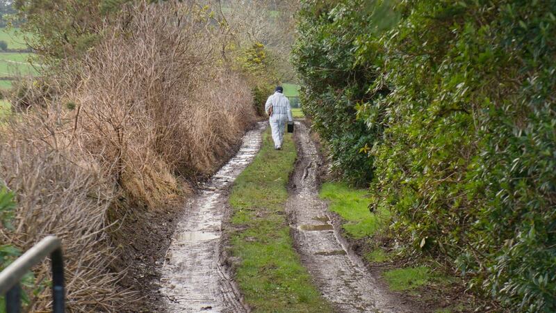 A Garda forensics expert at the remote scene where Paddy Lyons was discovered in his home, near Lismore. Photograph: Michael MacSweeeney/Provision