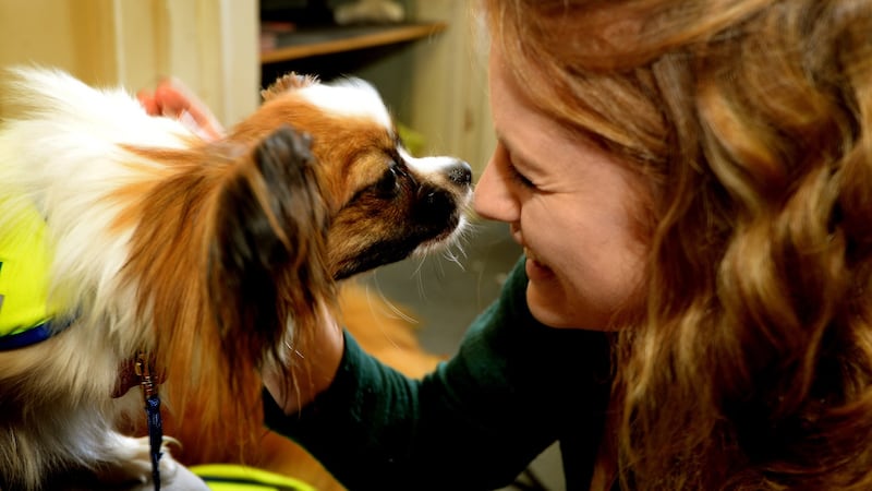 Peata the Irish organisation for Pets and People in Trinity College  for a  Puppy Room for stressed students. Photo graph: David Sleator