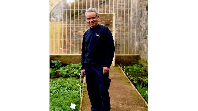 Peter Meleady, OPW gardener in charge of the fruit and vegetable walled garden at the National Botanic Gardens of Ireland.