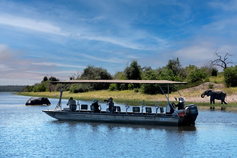 Botswana Chobe National Park