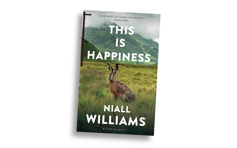 100 best Irish books of the 21st century - This is Happiness by Niall Williams