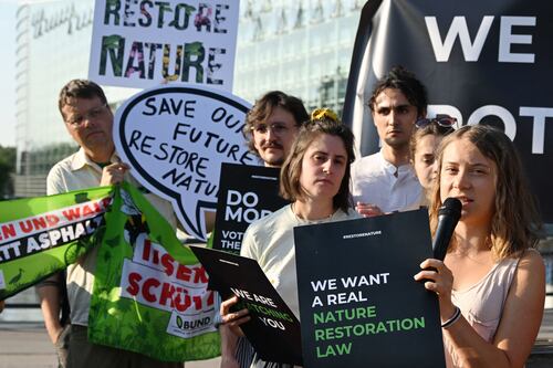 What impact will the EU nature restoration law have on Ireland? 