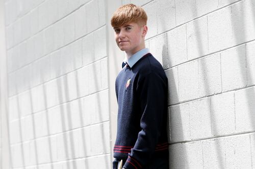 Leaving Cert diary: ‘I just wish I could scoop up the books and head outside’