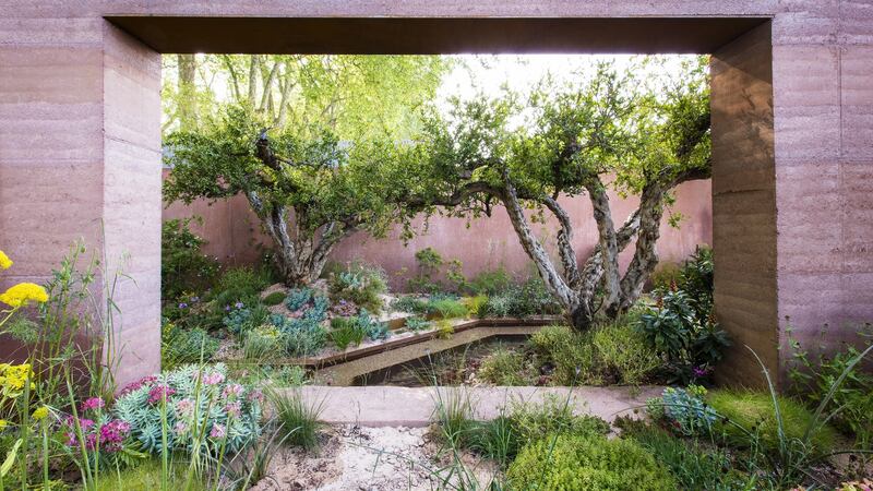 Sarah Price’s RHS Chelsea Flower Show 2018 garden. Photograph: Clare Takacs