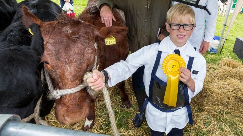 Ronan Dockery (9) with Rachel, a Shorthorn heifer that came third in class. Photograph: Dylan Vaughan