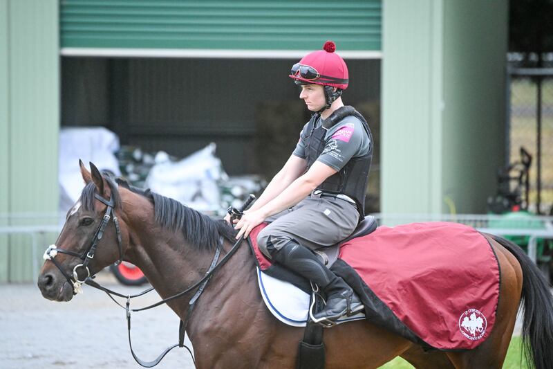 Okita Soushi ridden by Thomas Hamilton during trackwork at Werribee Racecourse in Werribee, Australia. Photograph: Reg Ryan/Racing Photos/Getty Images