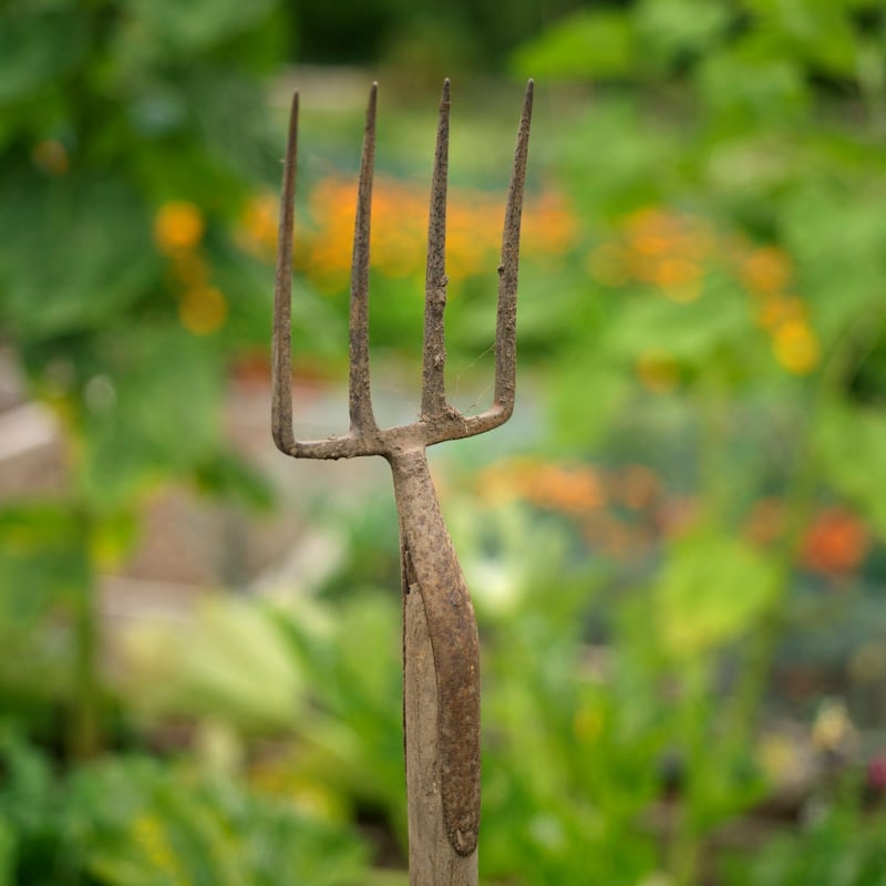 For wooden handles, apply a light coating of linseed oil a couple of times a year. Photograph: Richard Johnston