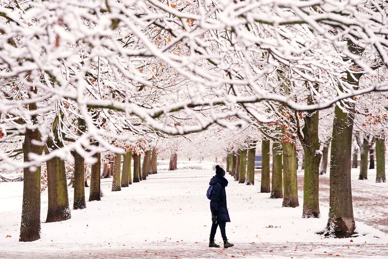 A woman walks through an avenue of trees covered in snow in Greenwich Park, southeast London. Photograph: PA Wire