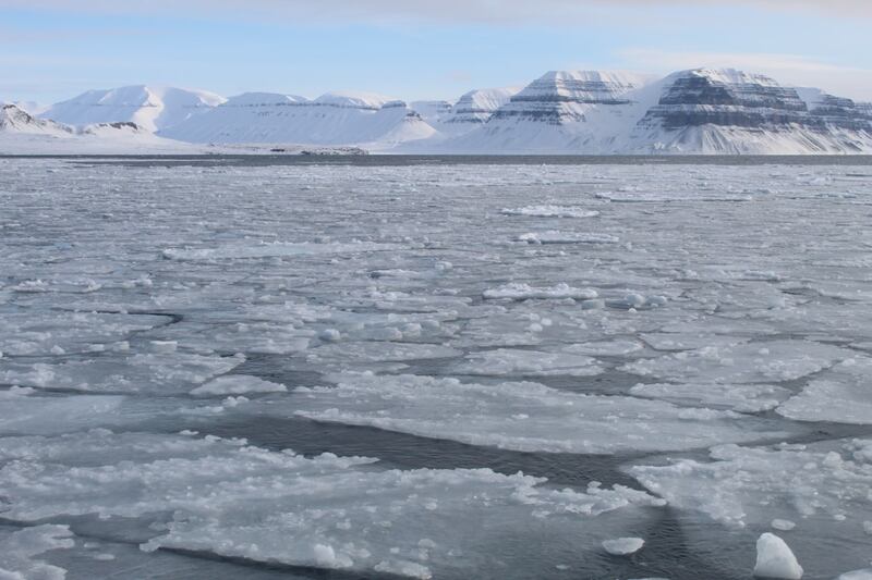 Warm Atlantic Water is now reaching further north reducing the sea ice cover in Svalbard’s fjords. Photograph: Eoin Murphy