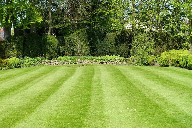 That weed-free, neatly-shaven patch of grass is now either: (a) an enduring and admirable expression of high standards of horticulture and/or a deep love and pride in your garden; or (b) it’s a boring horticultural dinosaur. Photograph: Akabei/iStock