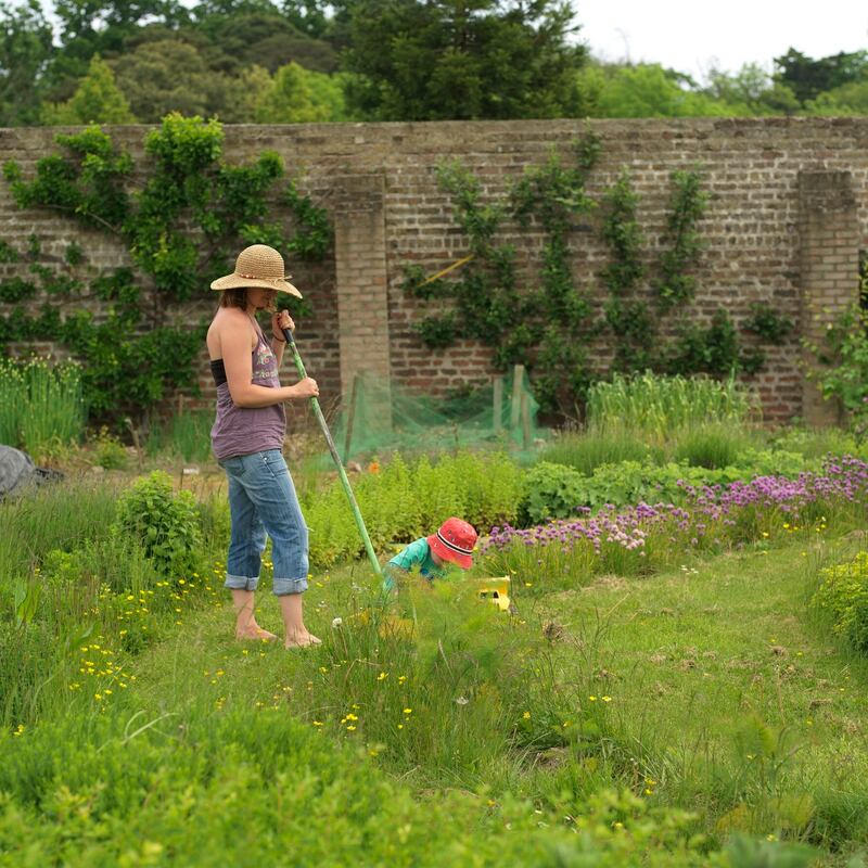 Although weeding can be tedious, the rewards are many. Photograph: Richard Johnston