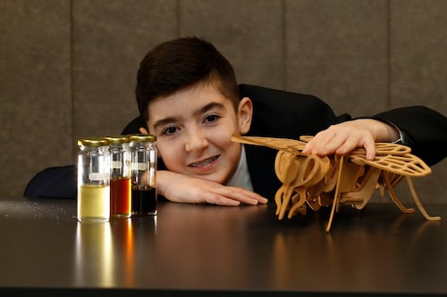 Jet fuel, honey and fire-proof cladding: Projects at this year’s Young Scientist