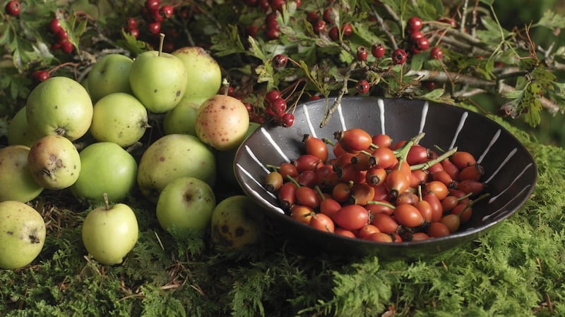 Rosehips can be used to make a health-enhancng tasty syrup at this time of year. Photograph: Richard Johnston