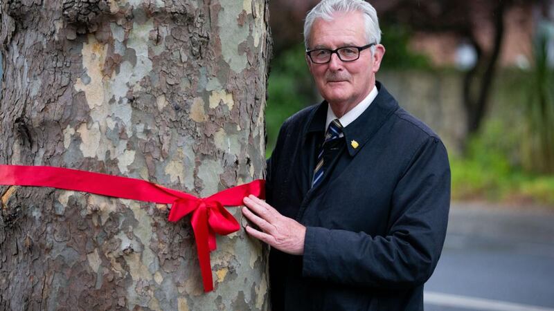 Cllr Paddy McCartan beside a plane tree on Merrion Road. Photograph: Tom Honan