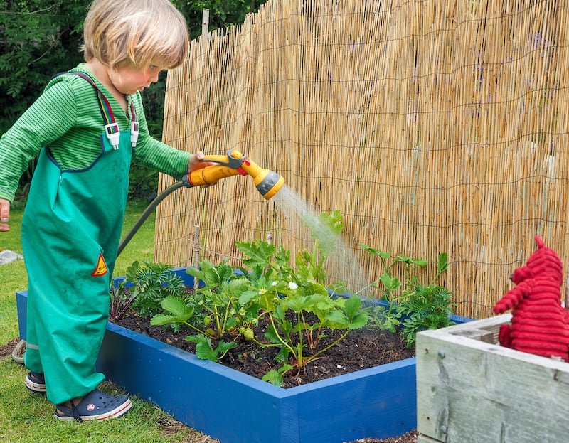 A child waters the plants. Photograph: Ben Russell