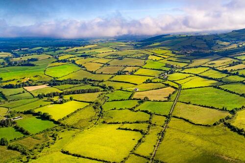 Alternative food strategy sets out how to cut agricultural emissions