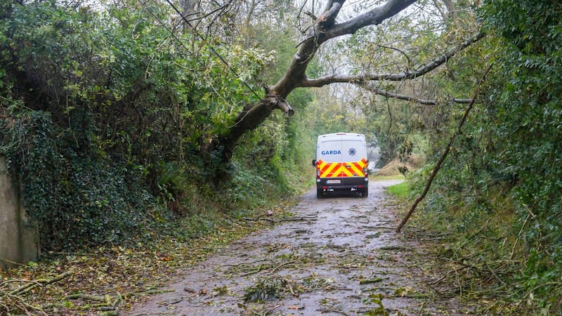 A Garda vehicle near Aglish, Co Waterford, where Clare O’Neill was killed after a tree landed on a car. Photograph: Patrick Browne