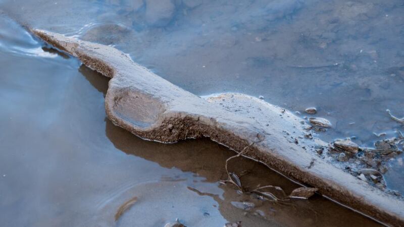 Part of the log boat, showing an  oval shaped blister, is seen in the river Boyne. Photograph: BFRRS