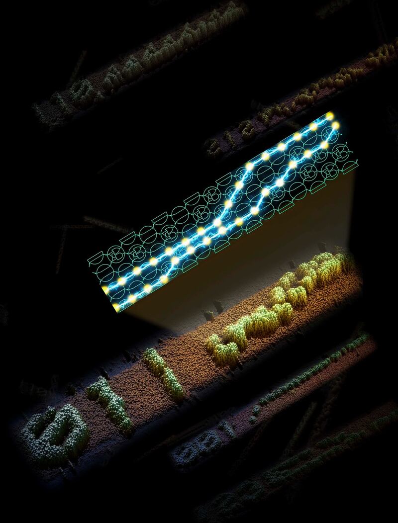 A traditional computer circuit (top) compared with a molecular circuit built using DNA (below). Photograph: Demin Liu (Molgraphics) and Damien Woods (Maynooth University)