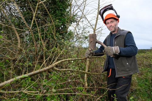 ‘Hedges are a highway for wildlife. You’ll never see a mouse springing across a field’