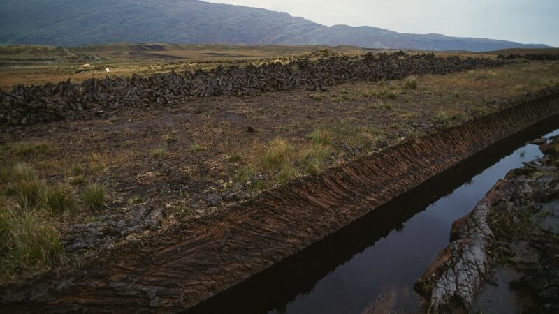 A peat bog in the vicinity of Cornamona, Connemara, Co Galway. “It’s a tragic loss of heritage that today we cannot show our children what a healthy bog looks like. It is a legacy that few will thank us for”