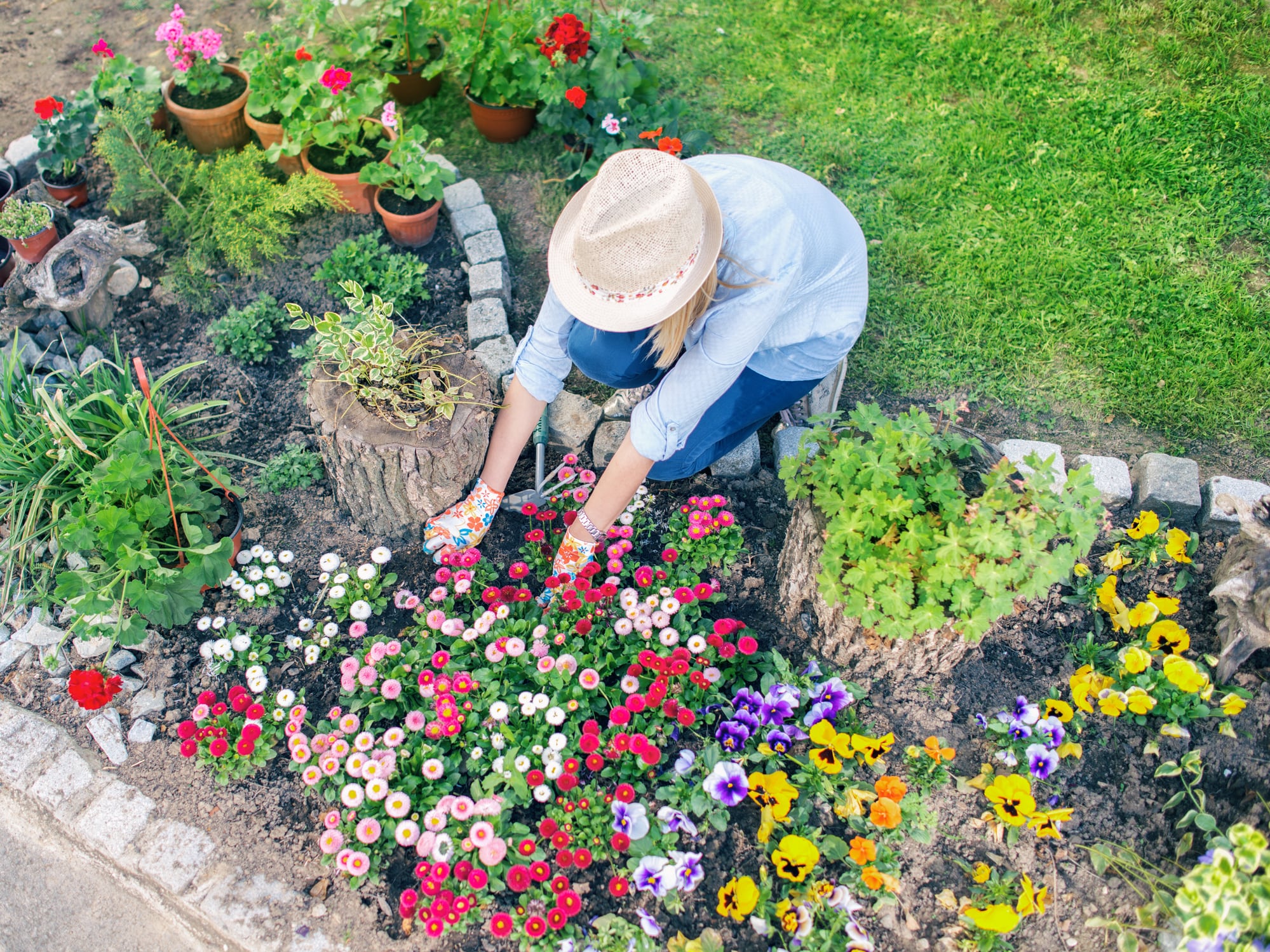 Digital garden planners are like spades — powerless unless masterfully steered by a human – The Irish Times