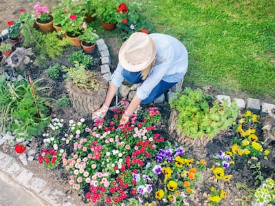 Planning is only one part of the process as your creativity and skill will inform your planting as you do it. Photograph: Getty