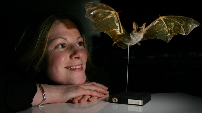 Emma Teeling of UCD sees finding a way to slow down human ageing as the world’s second-biggest crisis after climate change. Photograph: Bryan O’Brien