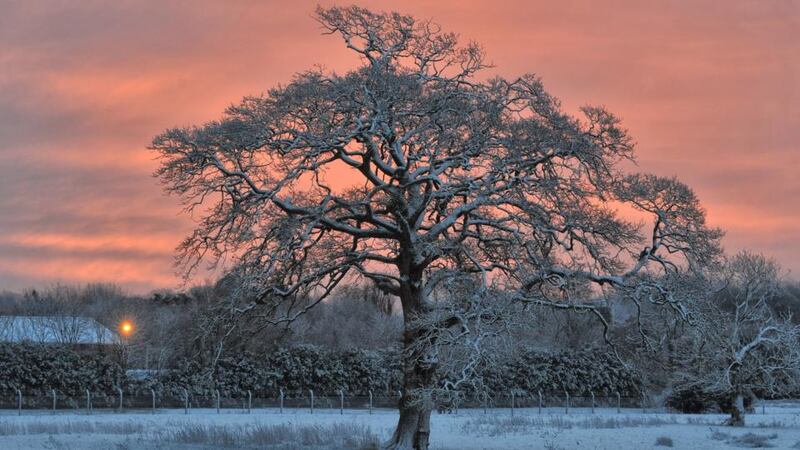 Early morning frost and snow covered fields at Inchigaggin Lane, Cork city. Photograph:  Daragh Mc Sweeney/Provision