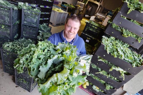 Hail kale: Supermarkets track Hollywood’s favourite vegetable