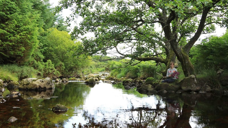 Kate Keena (11) in Ballycoyle Woodlands, Glencree, Co Wicklow  at the launch of Ireland’s first native woodlands strategy. Photograph: Nick Bradshaw.