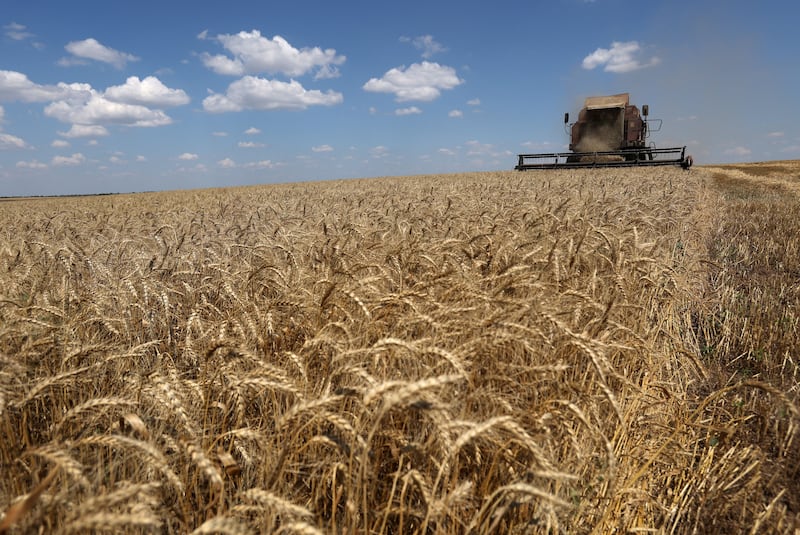 Harvesting wheat in the Mykolaiv region of Ukraine. Ukraine's huge agricultural output raises questions for the EU's Common Agricultural Policy if Ukraine were to join the EU. Photograph: Anatolii Stepanov/AFP via Getty Images