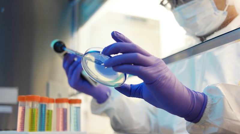 WuXi was involved in the collection of DNA data in Ireland by way of Genomic Medicine Ireland. Photograph: Getty Images