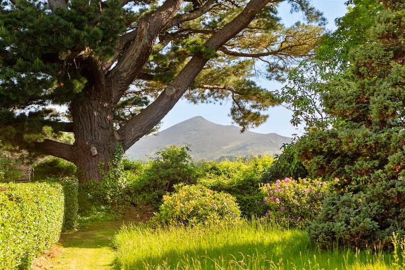 View of Sugarloaf from garden