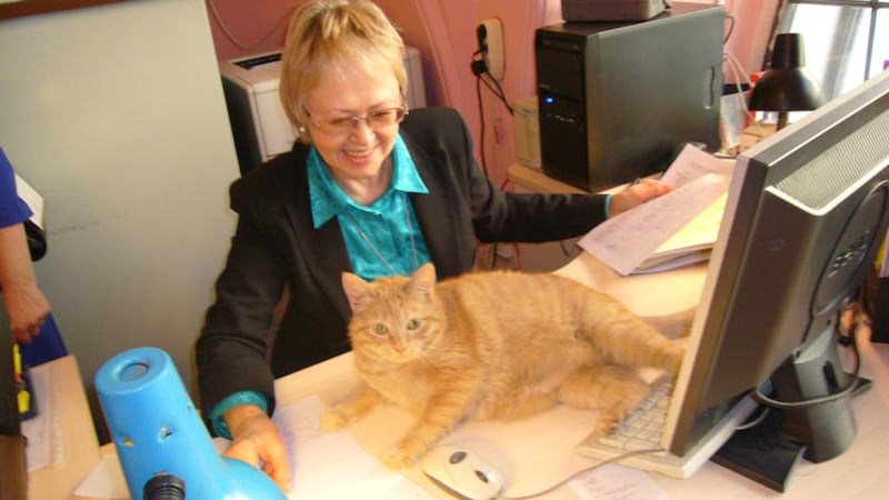 A museum worker with Ginger, a Hermitage cat. Photograph: Lara Marlowe