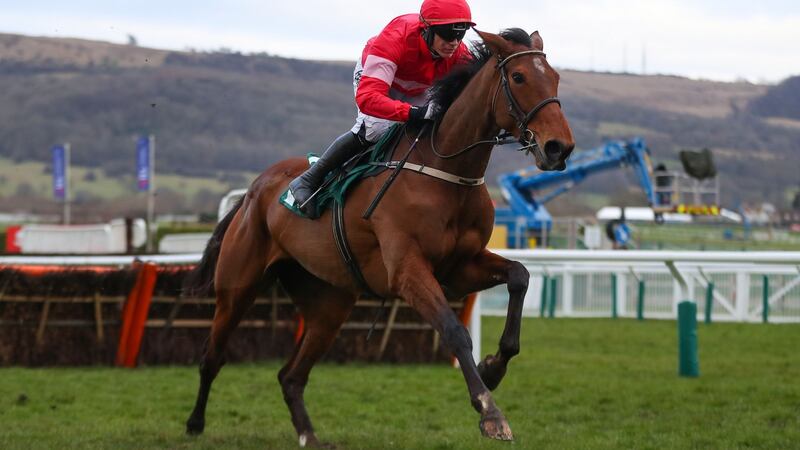 Paul Townend on Laurina on their way to winning the Trull House Stud Mares Novices’ Hurdle at the 2018 Cheltenham Festival. Photograph: Inpho