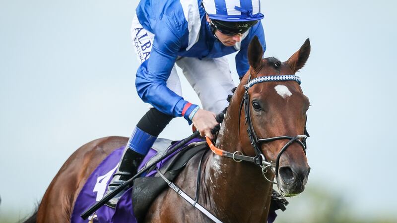 Should the Epsom runner-up, Madhmoon, pictured with Chris Hayes up,  break his top-flight duck it will be hugely popular for his 87-year-old trainer Kevin Prendergast. Photograph: Oisin Keniry/Inpho