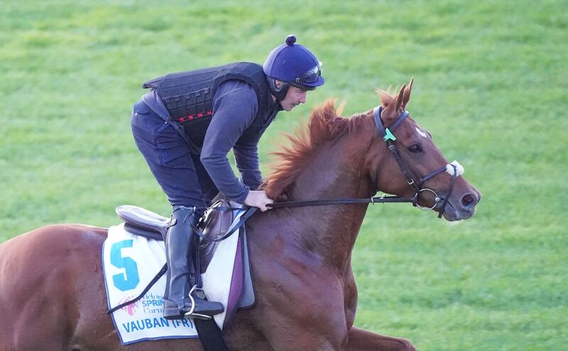 Vauban is the short-price favourite for the Melbourne Cup. Photograph: Scott Barbour/Racing Photos via Getty Images