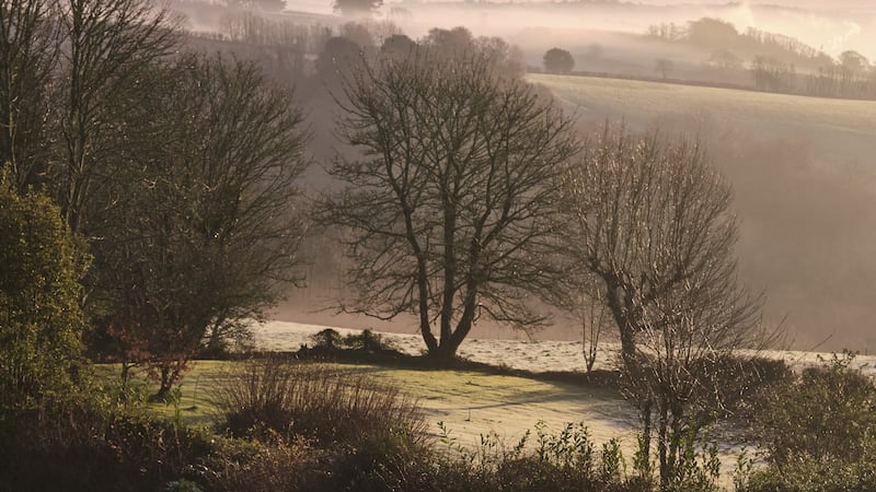 The gardens at Castle of Trematon in Cornwall.