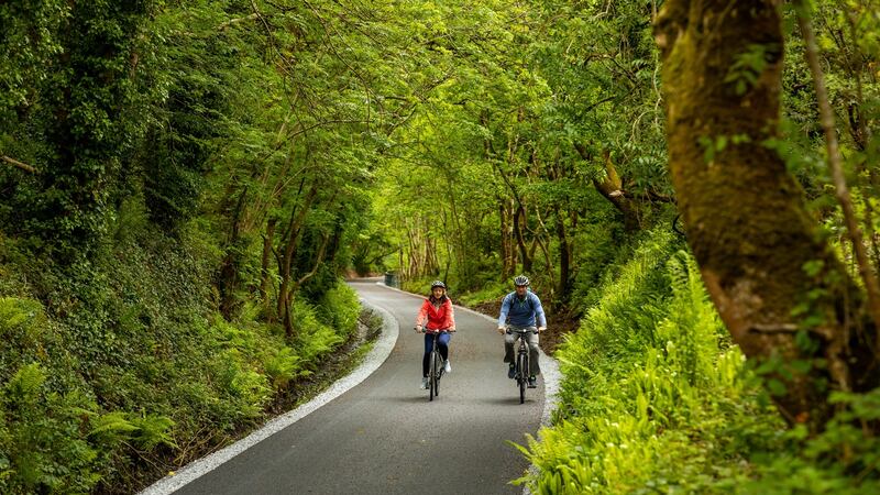 The Limerick Greenway in Tullig Woods. Photograph: Sean Curtin/True Media