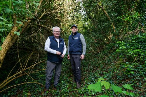 Like ‘something from a snuff film’: touring wildlife crime scenes around Dublin with a parks ranger