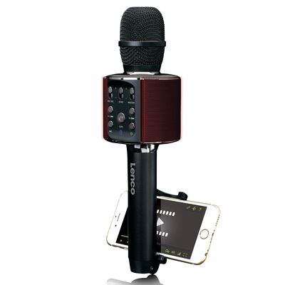 Lenco Karaoke Microphone