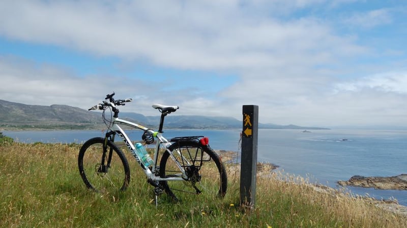 Looking out to Bantry Bay and the Caha Mountains from Bere Island. Photograph: Lenny Antonelli