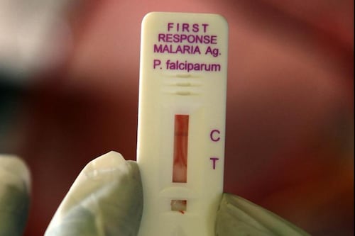 New technology to help combat malaria developed at UCC