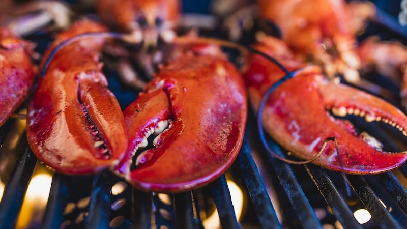 Dalkey Lobster Festival is expected to serve 6,000kg of lobster during the weekend event. Photograph: iStock